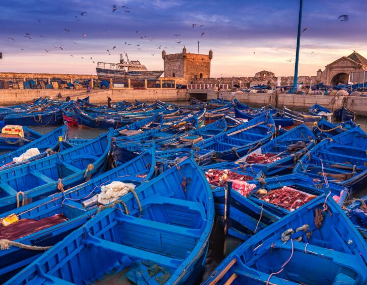 Excursión de 1 Día Desde Marrakech a Essaouira