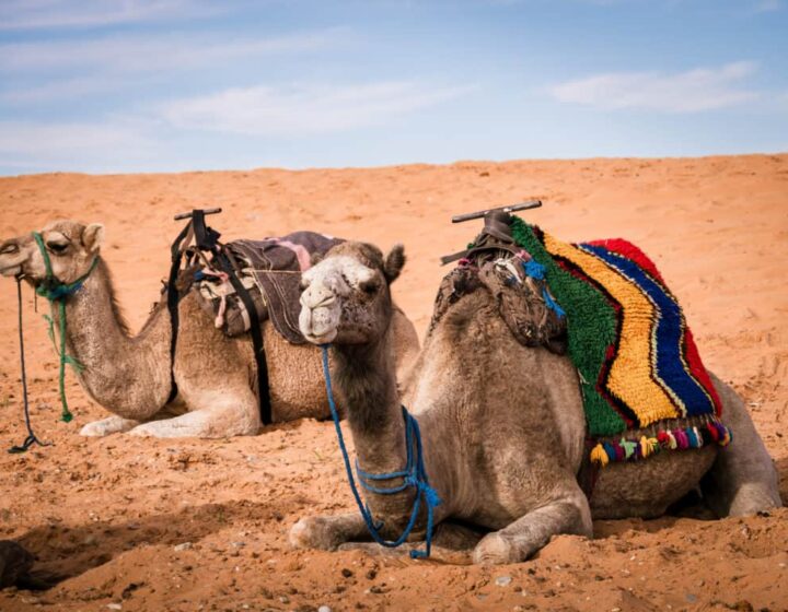 12 Days grand Tour from Tangier to Merzouga Desert