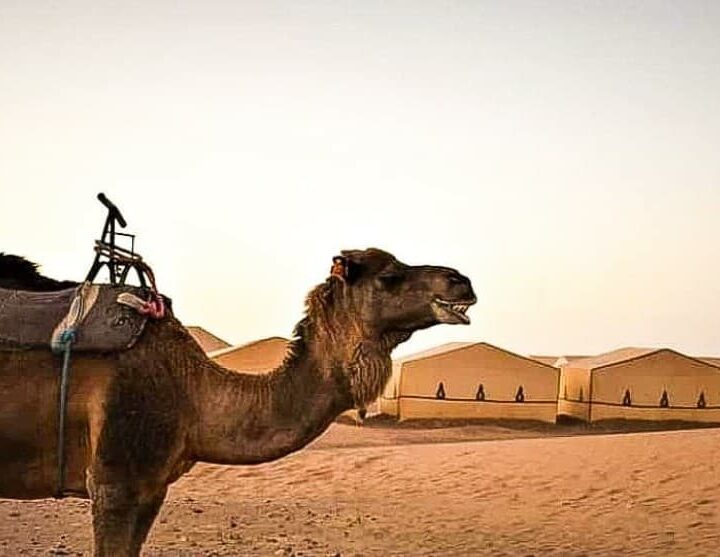 2 Days Tour from Marrakech to Zagora