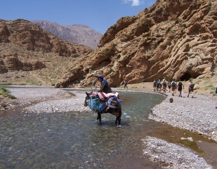 5 Days Morroco Desert Tour from Fez / 5 Días Ruta al Desierto de Marruecos desde Fez