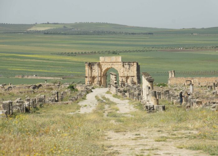 1 Day Trip to Volubilis from fes