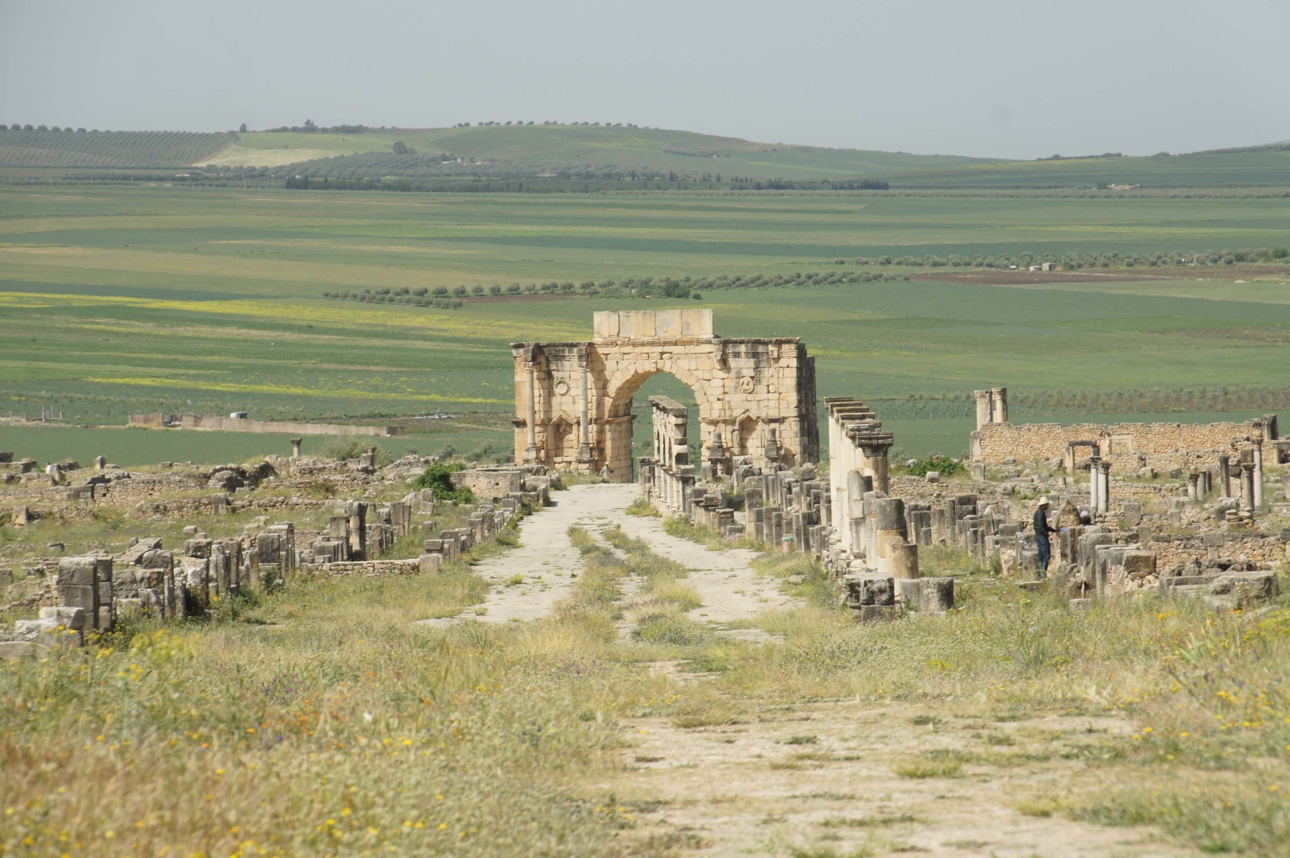 1 Day Trip to Volubilis from fes