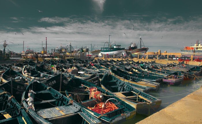 1 Day Trip to Essaouira from Marrakech