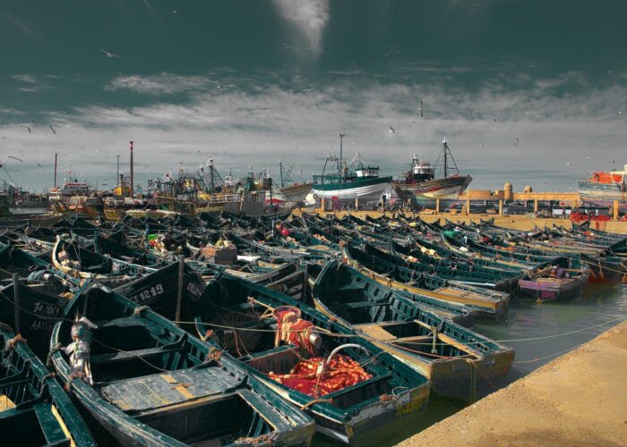 1 Day Trip to Essaouira from Marrakech