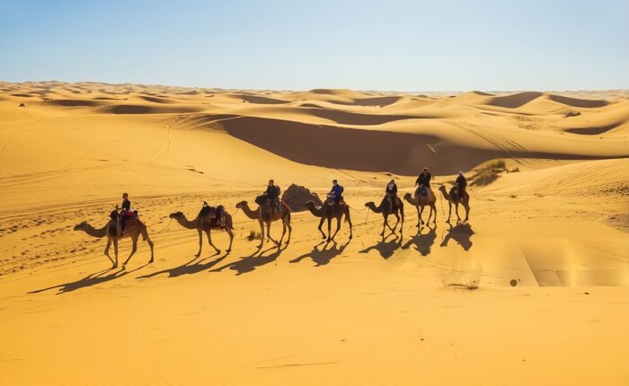2 Day Desert Trip from Marrakech to Zagora
